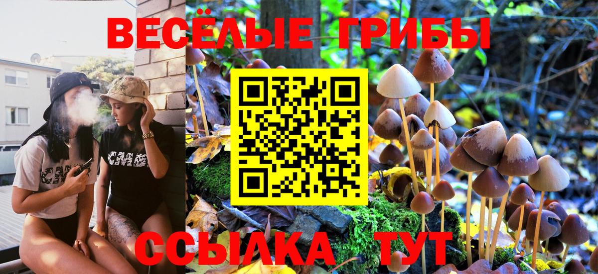 Галлюциногенные грибы Magic Shrooms Мценск
